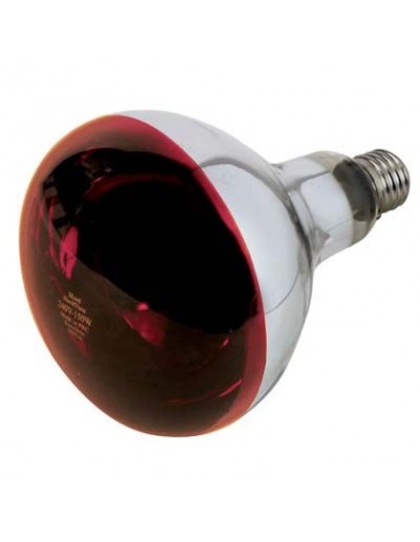 LAMPADA RIFLETTORE PULCINI PHILIPS