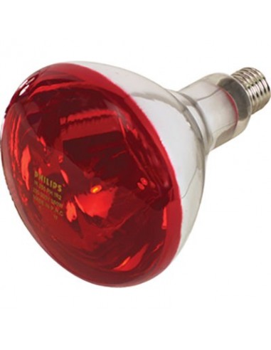 LAMPADA RIFLETTORE PULCINI