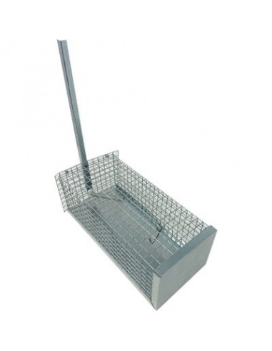 TRAPPOLA TOPI A GALLERIA