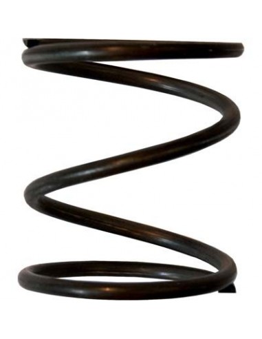 MOLLA X TESTINA DECESPUGLIATORE