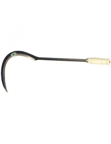 RONCOLA SFRATTAROLA COLTODINO 310 LEONELLI