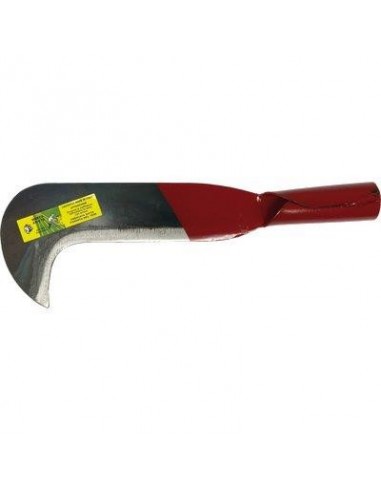 RONCOLA SFRATTAROLA ROMA + CANOLA 218 LEONELLI