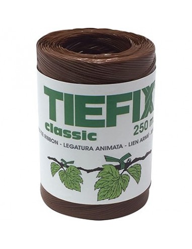 PIATTINA ANIMATA PVC ROCCA TIEFIX