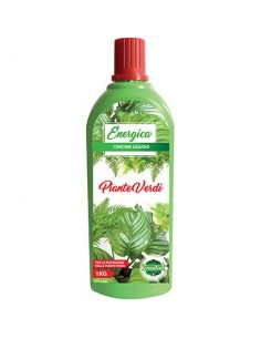 CONCIME LIQUIDO PIANTE VERDI ENERGICA