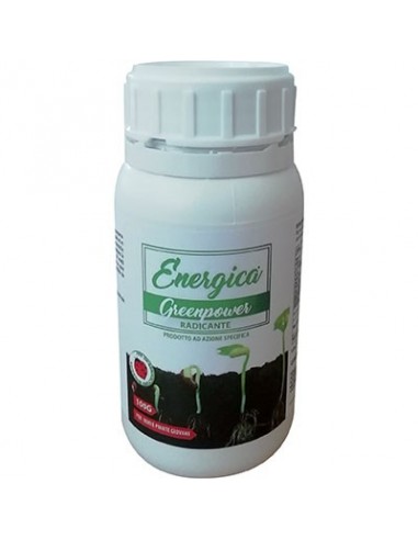 RADICANTE POLVERE ENERGICA