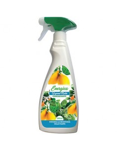 CORROBORANTE SAPONE MOLLE SPRAY ENERGICA