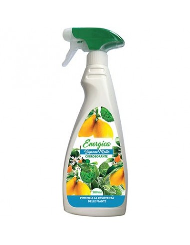 CORROBORANTE SAPONE MOLLE SPRAY ENERGICA