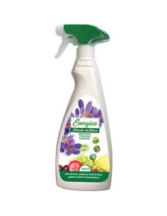 INSETTICIDA ORTICA SPRAY ENERGICA