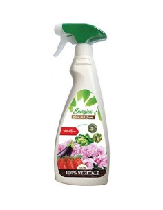 INSETTICIDA OLIO NEEM SPRAY ENERGICA