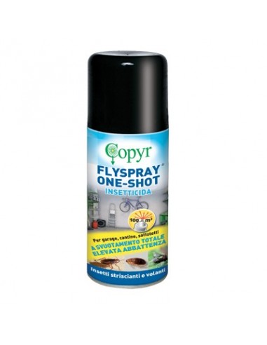 INSETTICIDA VOLANTI E STRISCIANTI FLYSPRAY COPYR