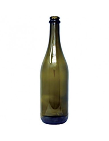 BOTTIGLIA EMILIANA TC