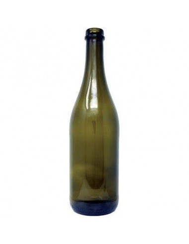 BOTTIGLIA EMILIANA TS