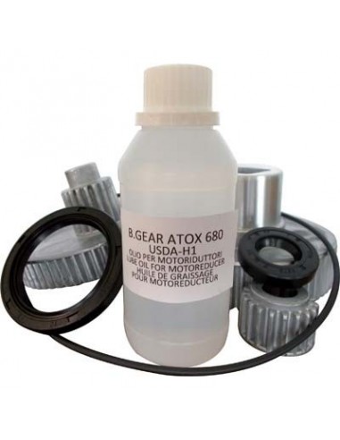 KIT RICAMBIO MOTORIDUTTORE 1004 REBER