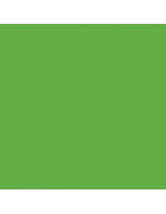 PLASTICA ADESIVA VERDE PISELLO LUCIDO 1995 ALKOR