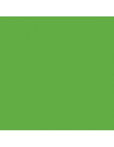PLASTICA ADESIVA VERDE PISELLO LUCIDO 1995 ALKOR