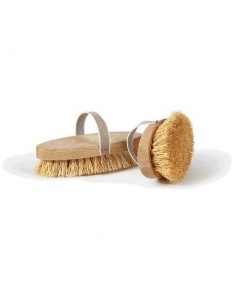 SPAZZOLA OVALE LEGNO-TREBBIA PERFETTO