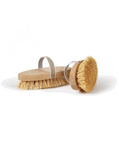 SPAZZOLA OVALE LEGNO-TREBBIA PERFETTO