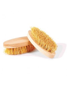 SPAZZOLA OVALE LEGNO-TREBBIA PERFETTO