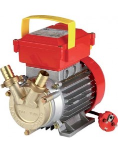 ELETTROPOMPA TRAVASO OTTONE CE ROVER