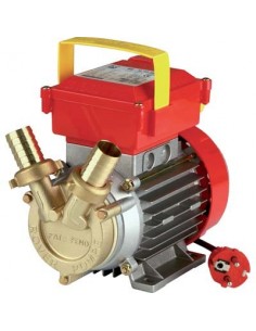 ELETTROPOMPA TRAVASO OTTONE CE ROVER