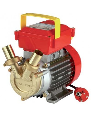 ELETTROPOMPA TRAVASO OTTONE CE ROVER