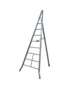 SCALA TRIANGOLARE AGRI FACAL