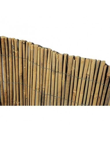 ARELLA STUOIA BAMBOO MEDIA STARS