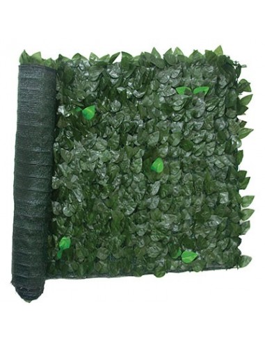 SIEPE SEMPREVERDE LAURO + RETE OMBRA
