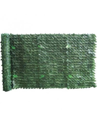 SIEPE SEMPREVERDE LAURO SERIE PLUS