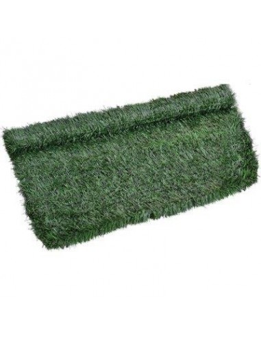 SIEPE SEMPREVERDE ABETE