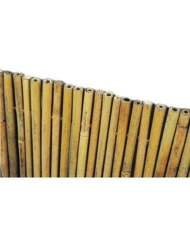 ARELLA STUOIA BAMBOO EXTRA STARS