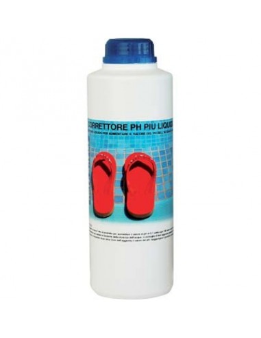 REGOLATORE PH PIU X PISCINA LAPI