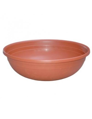 CIOTOLA CLIVIA ICS