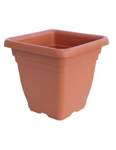 VASO QUADRO LAURUS ICS