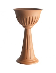 FIORIERA ALBA BAMA