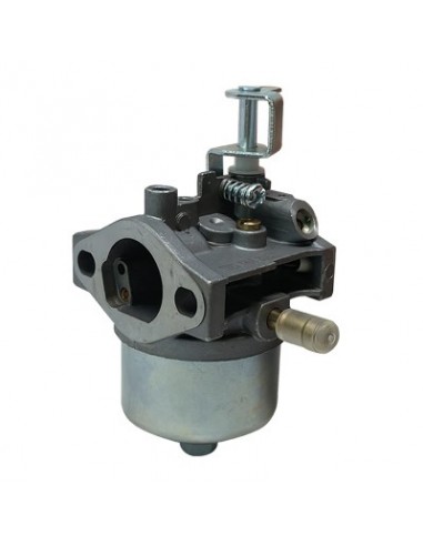CARBURATORE RASAERBA 43 STARS