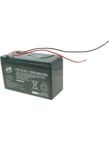 BATTERIA PB/ACIDO VOLT 12 AH 9 FAAM