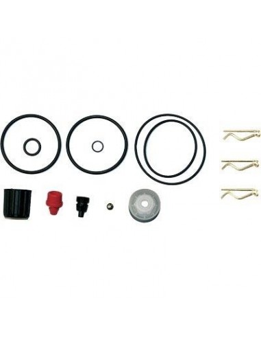 KIT RICAMBI POMPA ROSY 3507C GDM