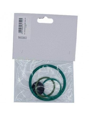 KIT RICAMBI POMPA ARES VITON DAL DEGAN