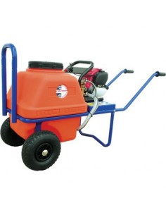 POMPA AP P768 4T + BOTTE VENTO DAL DEGAN