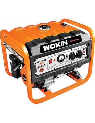 GENERATORE CORRENTE 791230 WOKIN