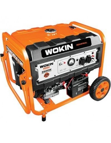 GENERATORE CORRENTE 791255 WOKIN