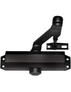 CHIUDIPORTA OLEODINAMICO DC110 ASSA ABLOY