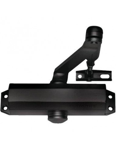 CHIUDIPORTA OLEODINAMICO DC110 ASSA ABLOY