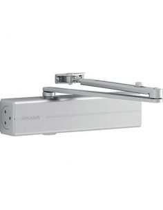 CHIUDIPORTA OLEODINAMICO DC300 ASSA ABLOY