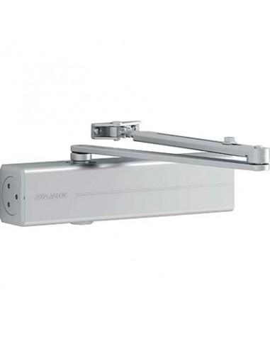 CHIUDIPORTA OLEODINAMICO DC300 ASSA ABLOY