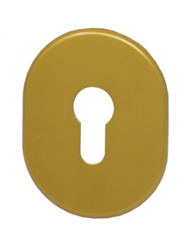 MOSTRINA PORTA BLINDATA 316L/SV CIPIERRE