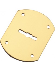 MOSTRINA PORTA BLINDATA A BOTTE 95223/B MOTTURA