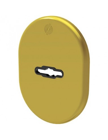 MOSTRINA PORTA BLINDATA 4301 SECUREMME