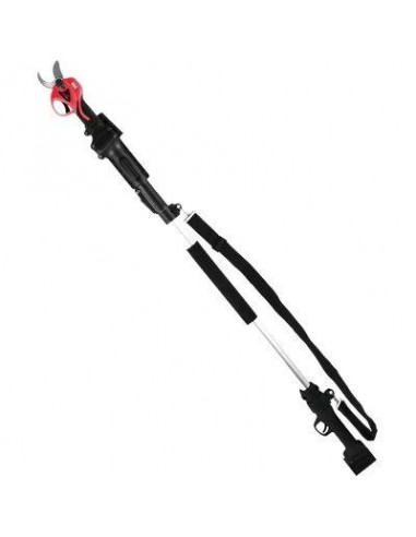 MANICO EASYCUT REX STARS